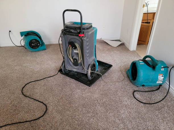 Best Ceiling water damage repair  in Gamerco, NM