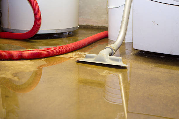 Best Water damage restoration process  in Gamerco, NM