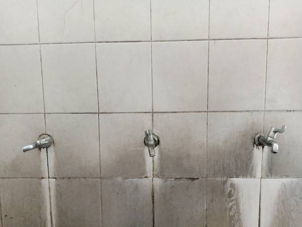 Best Residential water damage restoration  in Gamerco, NM