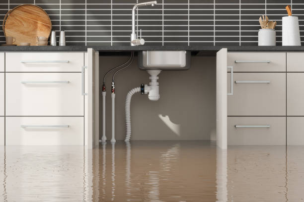 Gamerco, NM Water damage restoration Pros